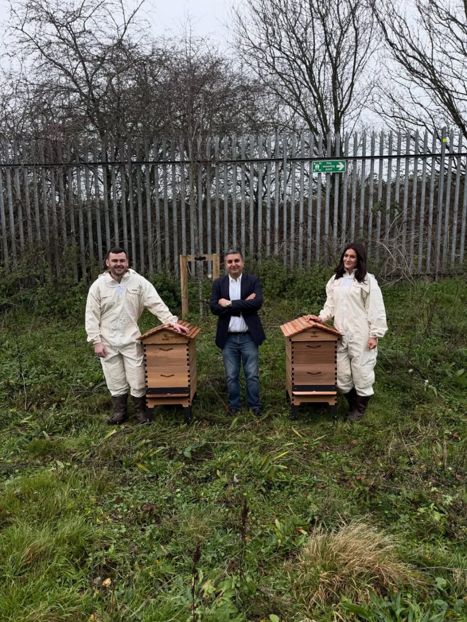 best free shipping package honey bees for sale united states