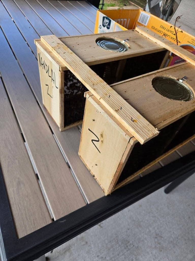 package bees