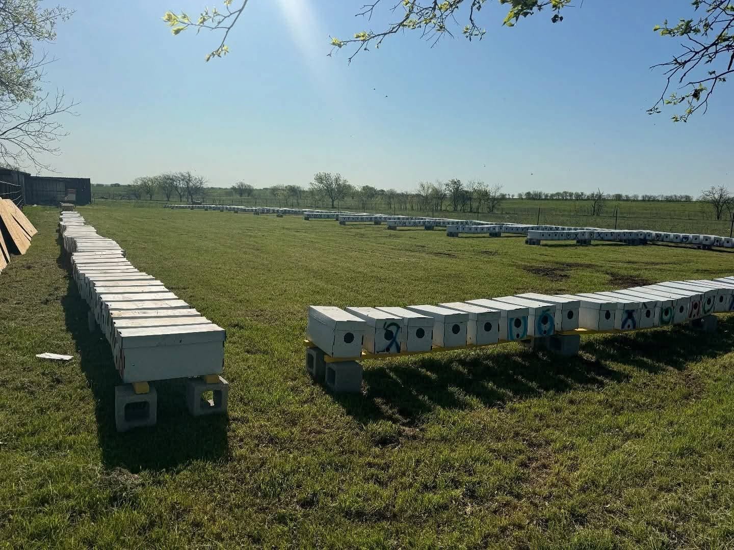 package bees