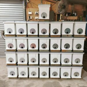 Saskatraz Nuc for Sale