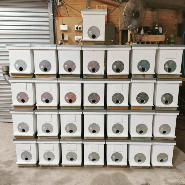 Saskatraz Nuc for Sale